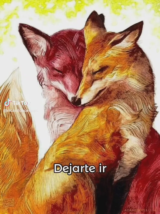 Dejarte Ir